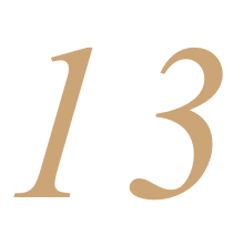 13