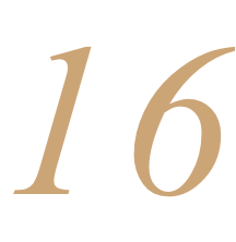 16