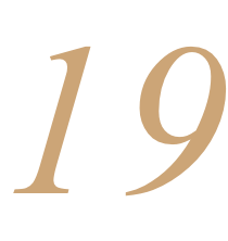 19